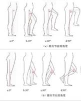 动态姿势要求.jpg