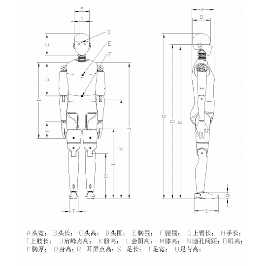 尺寸.jpg